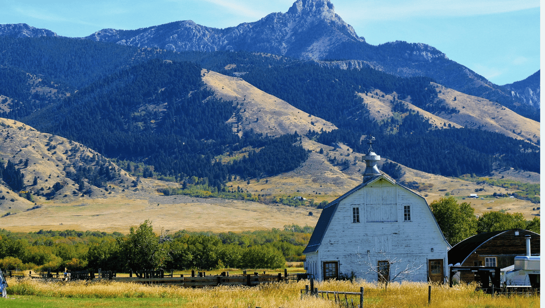 Dein Traum vom Cowboy-Leben: So kannst du eine Ranch in Yellowstone kaufen!